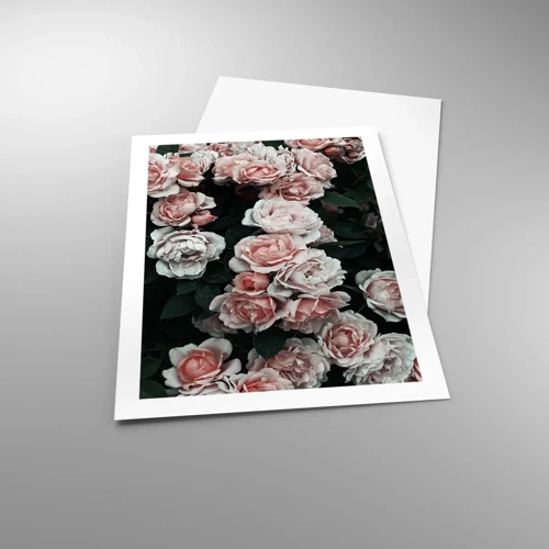 Poster - Rose Ensemble - 50x70 cm