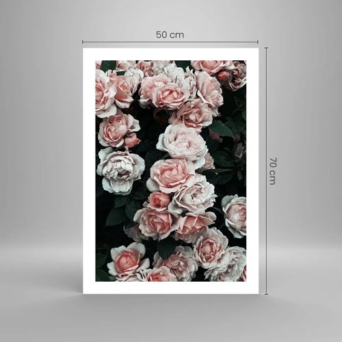 Poster - Rose Ensemble - 50x70 cm