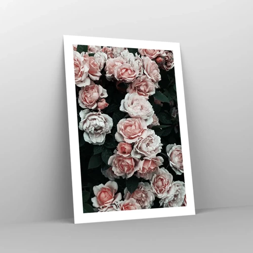 Poster - Rose Ensemble - 50x70 cm