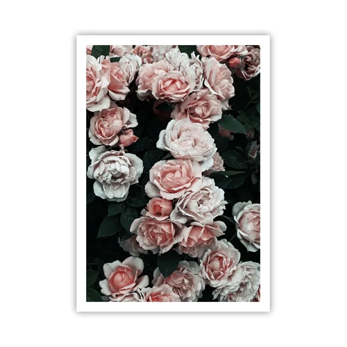 Poster - Rose Ensemble - 70x100 cm