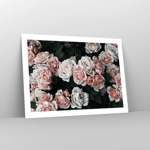 Poster - Rose Ensemble - 70x50 cm