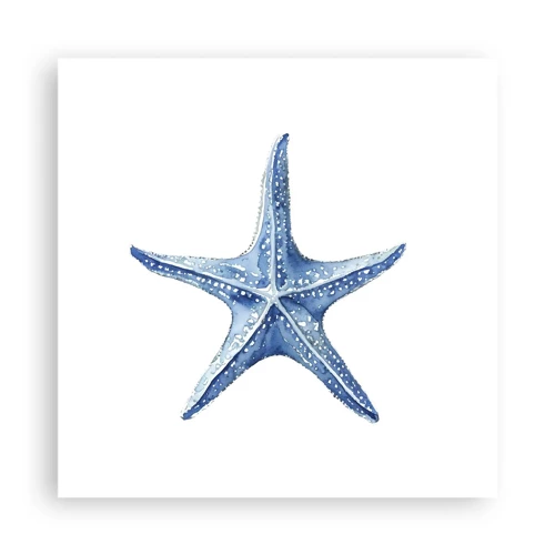 Poster - Sea Star - 40x40 cm