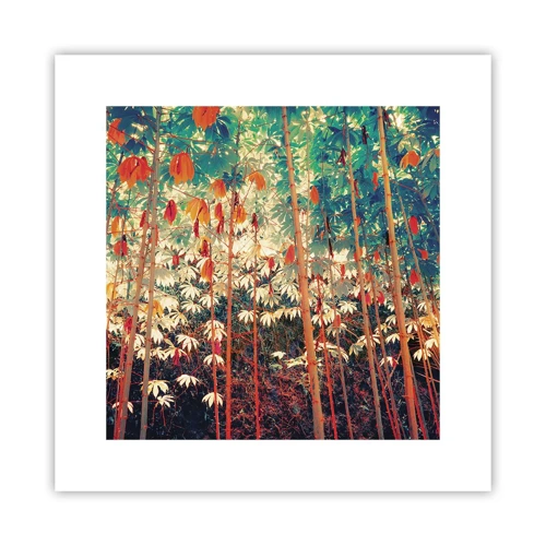 Poster - Secret Life of Leaves - 30x30 cm