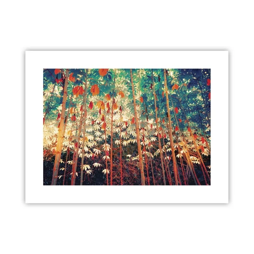 Poster - Secret Life of Leaves - 40x30 cm