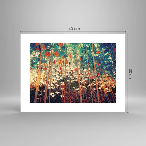 Poster - Secret Life of Leaves - 40x30 cm