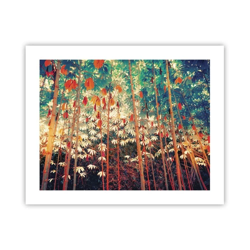 Poster - Secret Life of Leaves - 50x40 cm