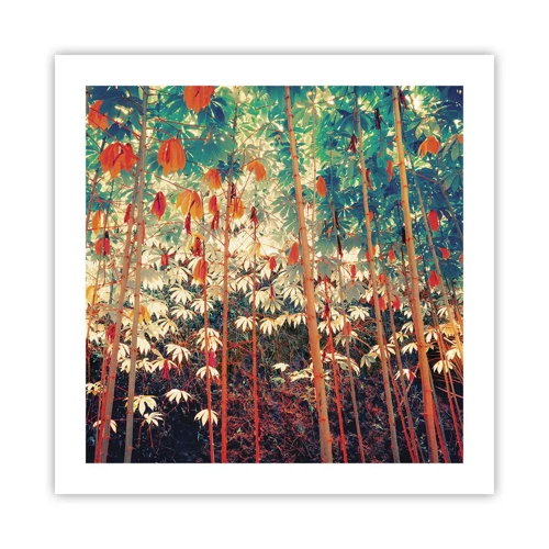 Poster - Secret Life of Leaves - 50x50 cm