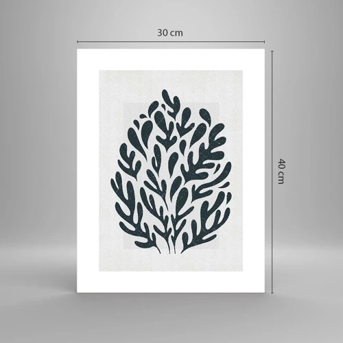 Poster - Shapes of Nature - 30x40 cm