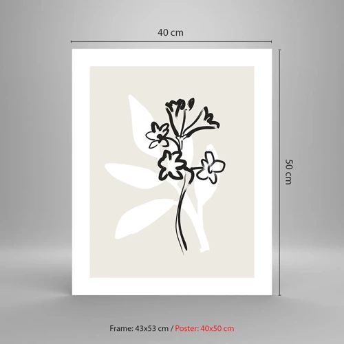 Poster - Sketch for Herbarium - 40x50 cm