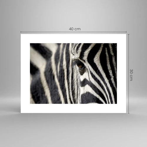 Poster - Striped Portrait - 40x30 cm