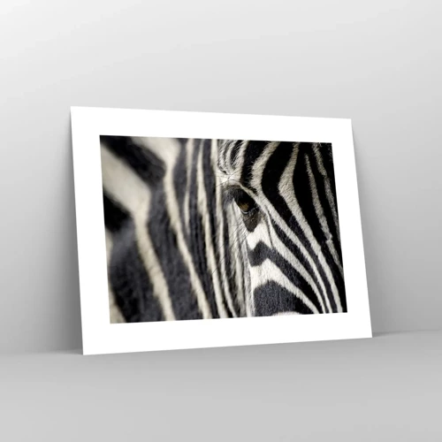 Poster - Striped Portrait - 40x30 cm