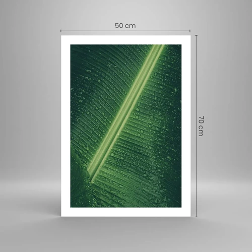 Poster - Structure of Green - 50x70 cm