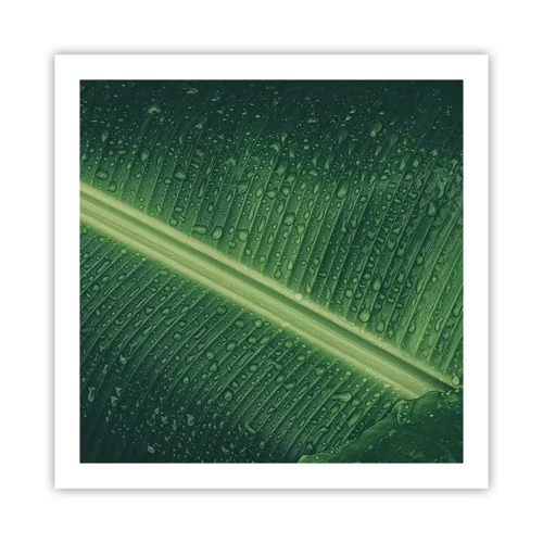 Poster - Structure of Green - 60x60 cm