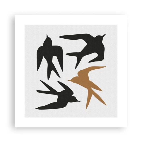 Poster - Swallows at Play - 40x40 cm