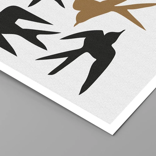 Poster - Swallows at Play - 40x40 cm