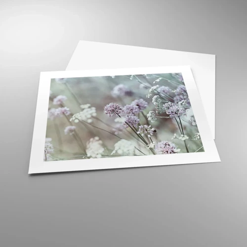 Poster - Sweet Filigrees of Herbs - 50x40 cm