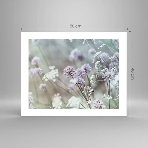 Poster - Sweet Filigrees of Herbs - 50x40 cm