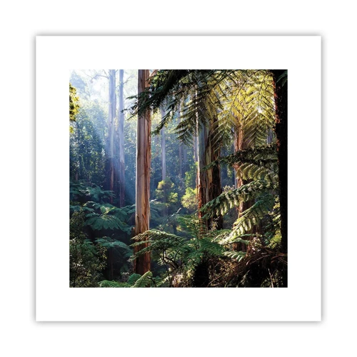 Poster - Tale of a Forest - 30x30 cm