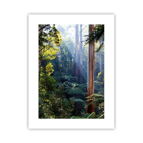 Poster - Tale of a Forest - 30x40 cm