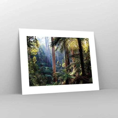 Poster - Tale of a Forest - 40x30 cm