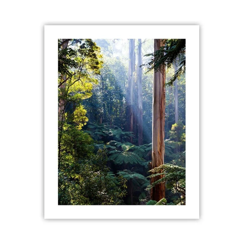 Poster - Tale of a Forest - 40x50 cm