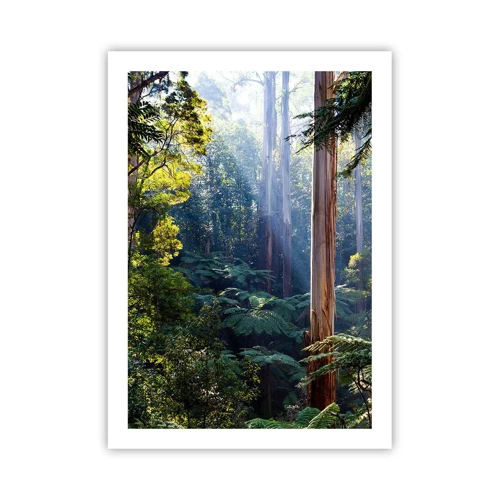 Poster - Tale of a Forest - 50x70 cm