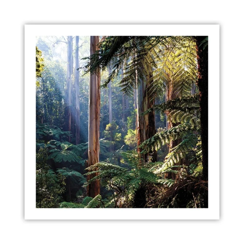 Poster - Tale of a Forest - 60x60 cm
