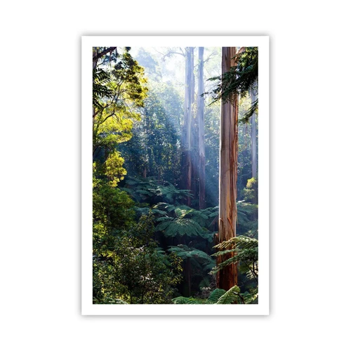 Poster - Tale of a Forest - 61x91 cm