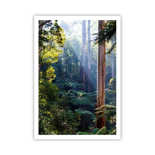 Poster - Tale of a Forest - 70x100 cm