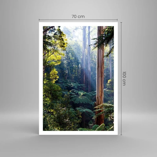 Poster - Tale of a Forest - 70x100 cm