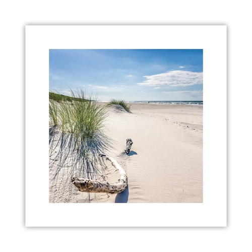 Poster - The Most Beautiful? Baltic One - 30x30 cm