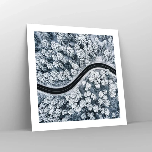 Poster - Through Wintery Forest - 50x50 cm