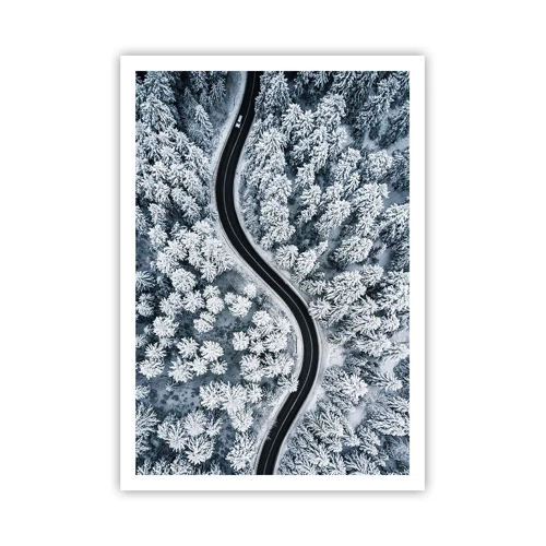 Poster - Through Wintery Forest - 70x100 cm