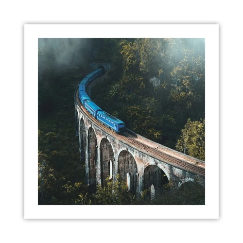 Poster - Train through Nature - 50x50 cm