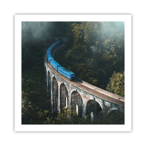 Poster - Train through Nature - 60x60 cm