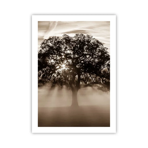 Poster - Tree of Good Knowledge - 50x70 cm