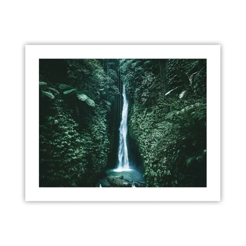 Poster - Tropical Spring - 50x40 cm