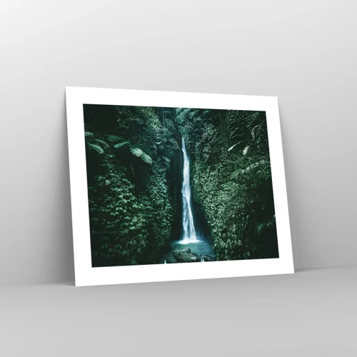 Poster - Tropical Spring - 50x40 cm