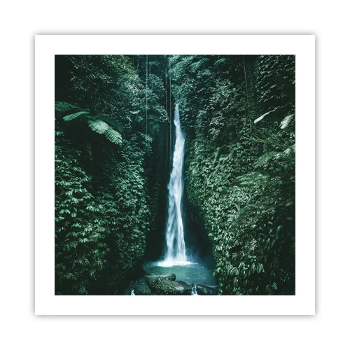 Poster - Tropical Spring - 50x50 cm