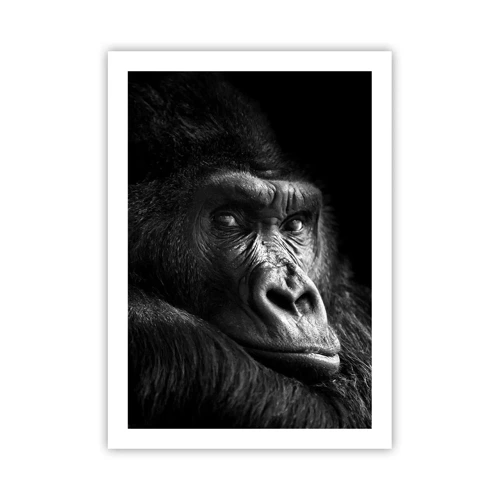 Poster - What Are You Looking At? - 50x70 cm