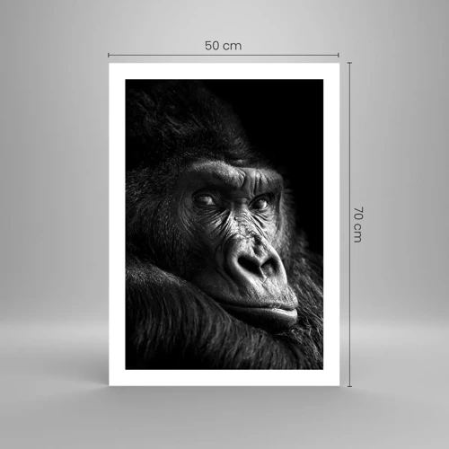 Poster - What Are You Looking At? - 50x70 cm