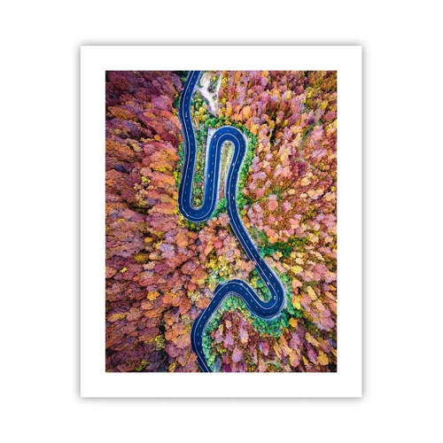 Poster - Winding Path through a Forest - 40x50 cm