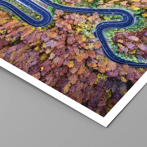 Poster - Winding Path through a Forest - 40x50 cm