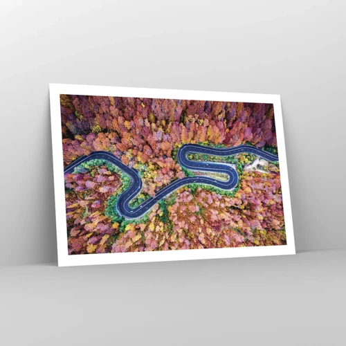 Poster - Winding Path through a Forest - 91x61 cm