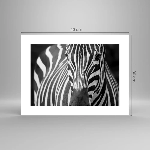 Poster - World Is Black and White - 40x30 cm