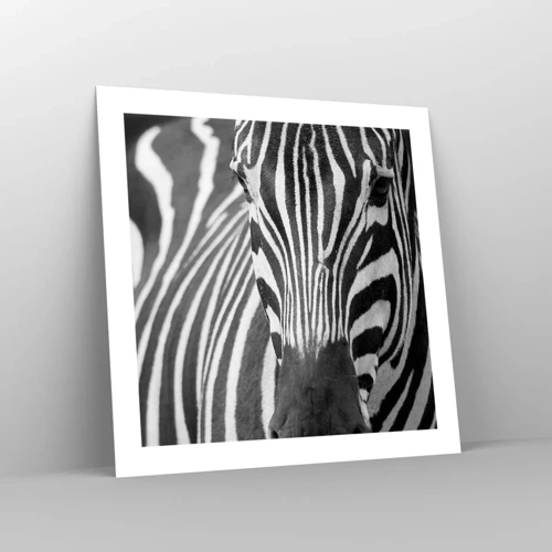 Poster - World Is Black and White - 50x50 cm