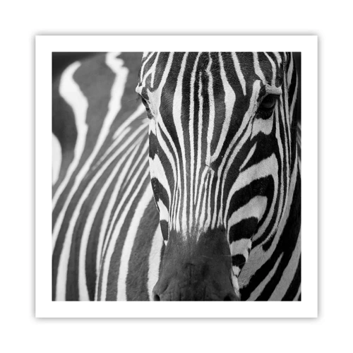 Poster - World Is Black and White - 60x60 cm