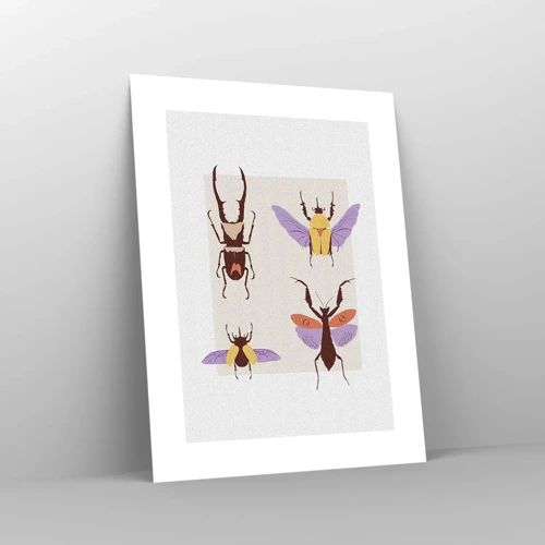 Poster - World of Insects - 30x40 cm