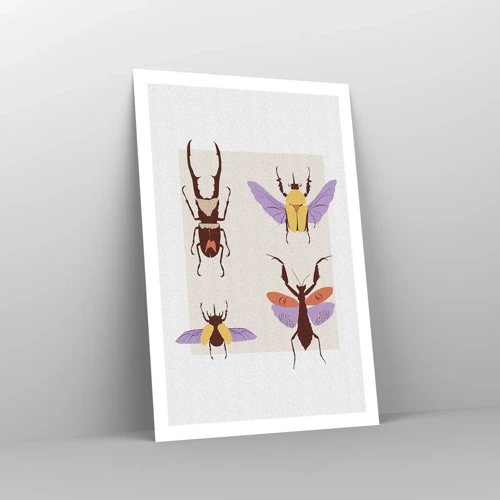 Poster - World of Insects - 61x91 cm