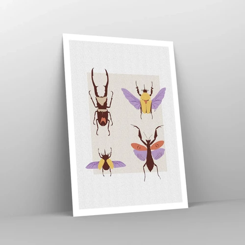 Poster - World of Insects - 70x100 cm